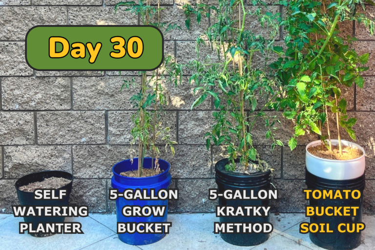 Soil Cup Self Watering Bucket Insert